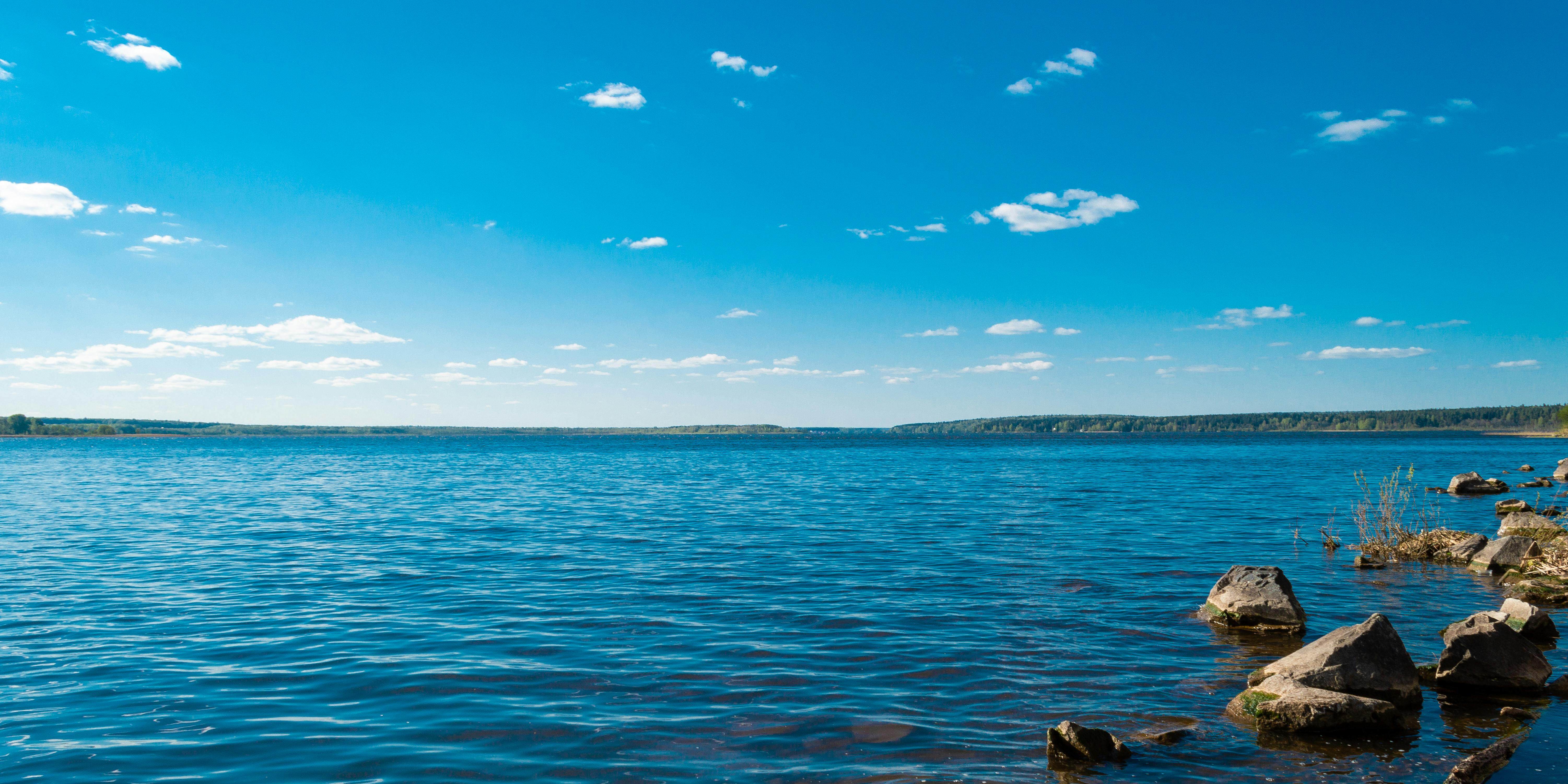 pexels-photo-2091351